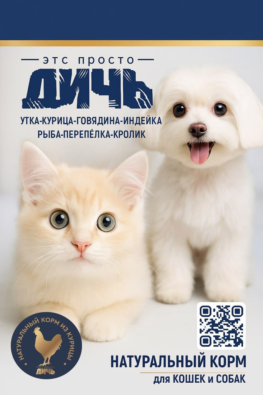 Курица